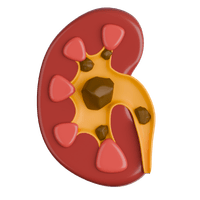Kidney Care